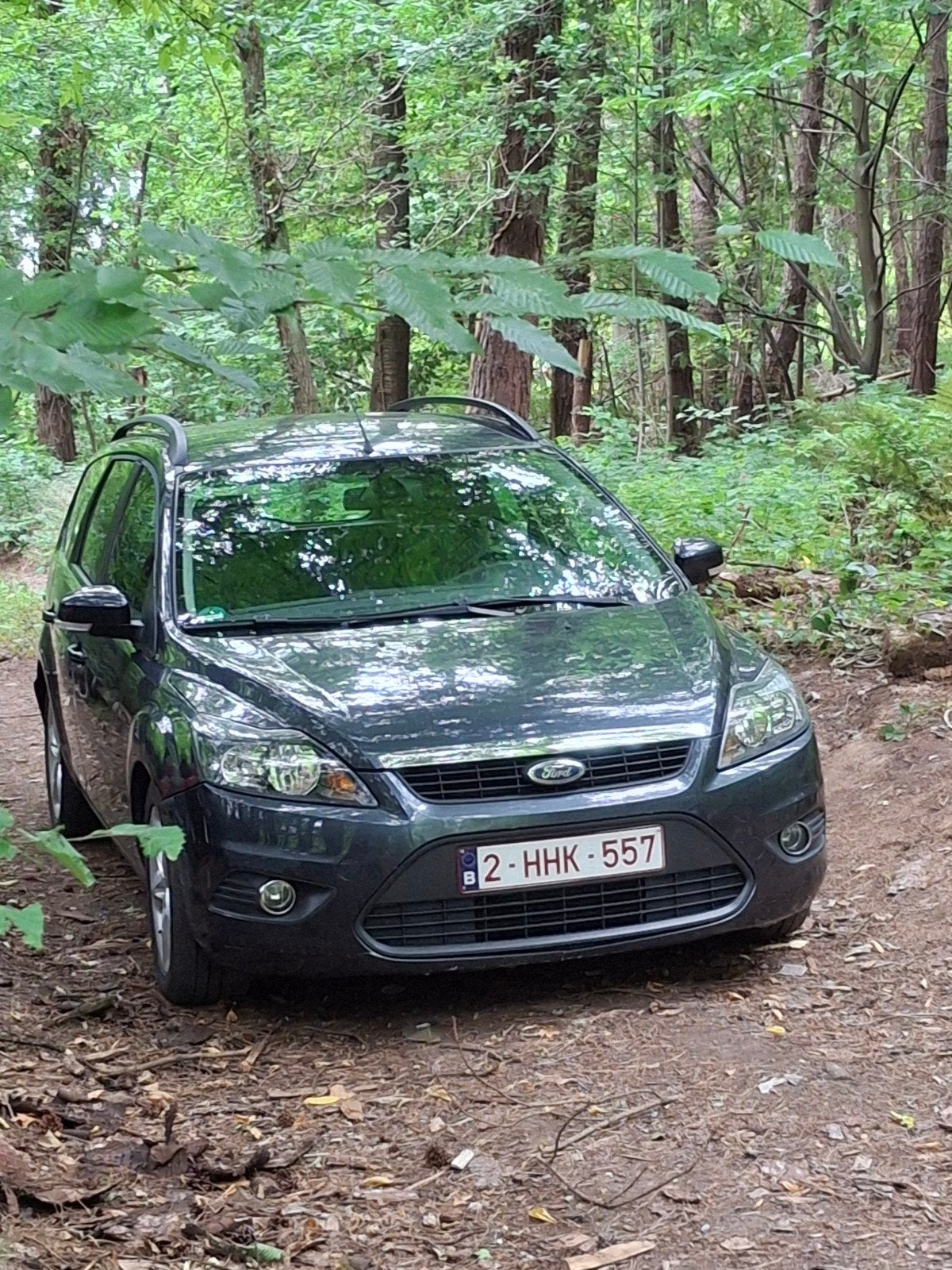 ford focus break. EXPORT, Auto's, Stof, Elektrische ramen, 1560 cc, Euro 4