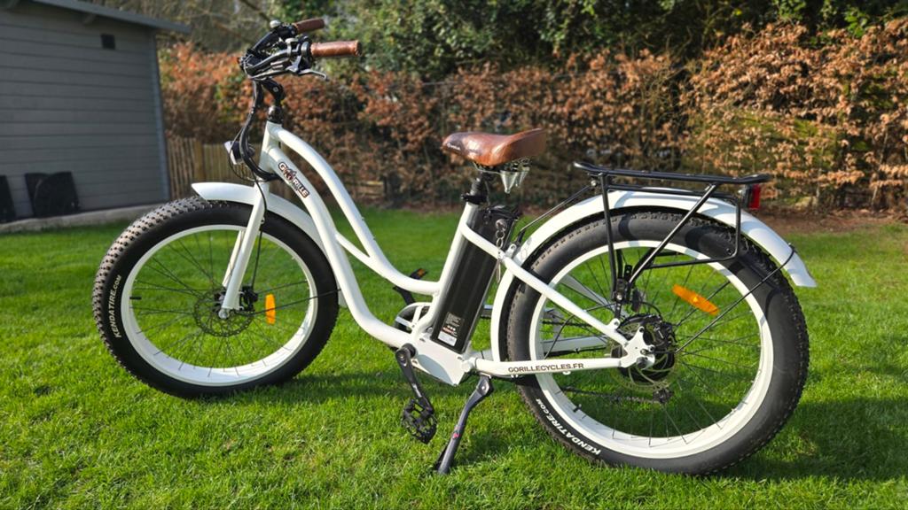 Gorille Lady damesfiets, Fietsen en Brommers, Ophalen