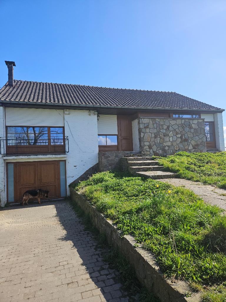chassis et porte garage, Ophalen, Gebruikt, Gevelraam of Ruit, Dubbelglas