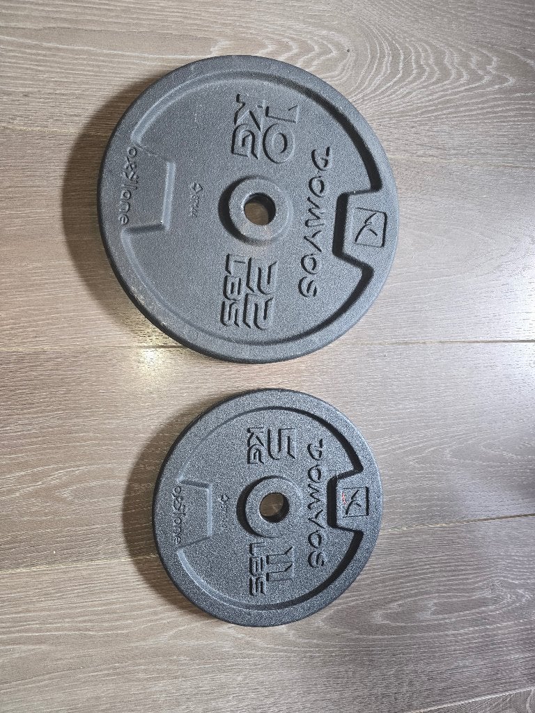 Poids en fonte 28mm, Enlèvement, Utilisé, Plaques d'haltères