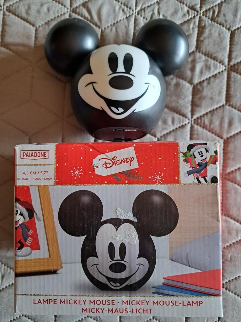 Mickey mouse lampje, Enlèvement, Mickey Mouse