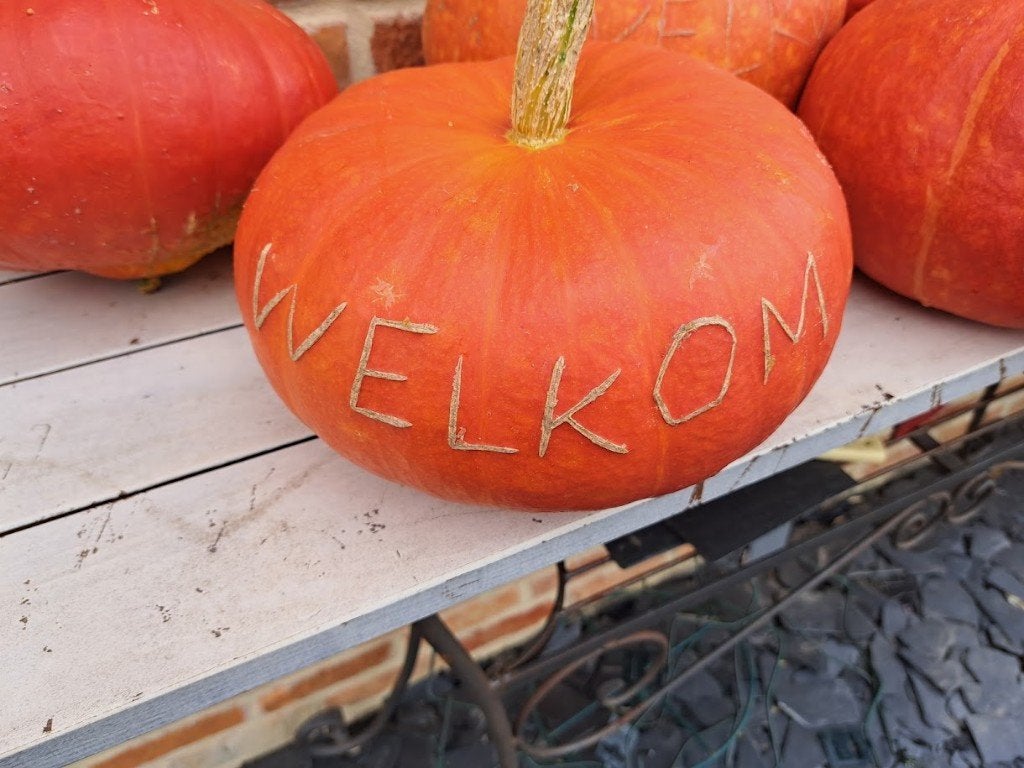 pompoenen met welkom - herfstdecoratie, Enlèvement, Autres espèces
