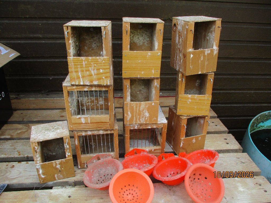 Partij nestelbakjes voor zebravinken, kanaries enz, Ophalen, Gebruikt, Hout, Overige typen