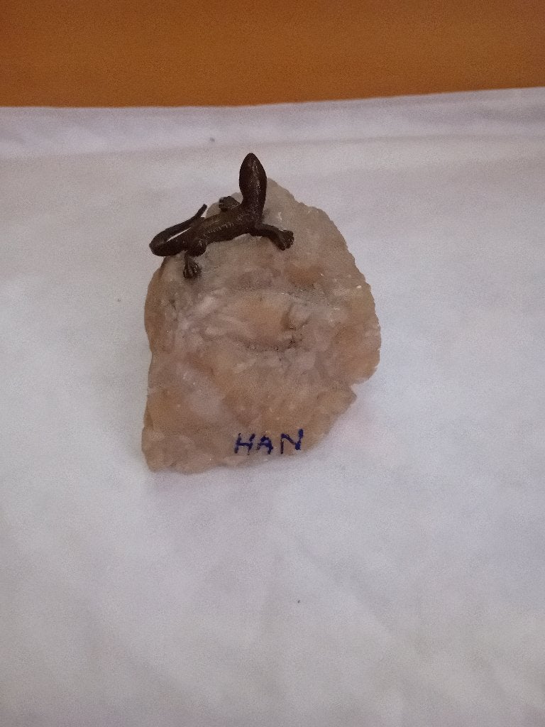 Lezard souvenir grotte de han, Enlèvement ou Envoi