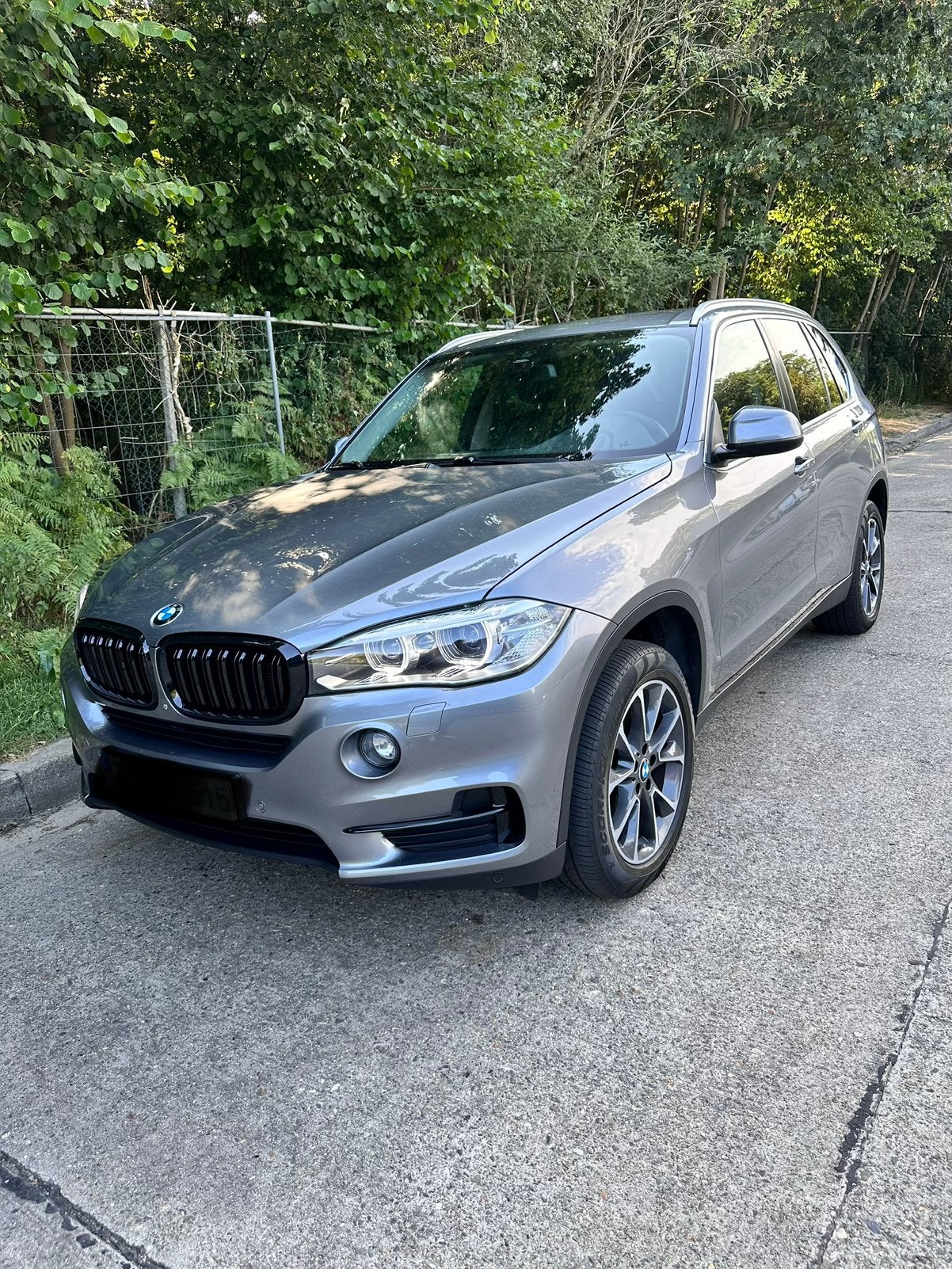 BMW X5 25d 2.0 euro 6 Dealer onderhouden, Automaat, Leder, Diesel, Particulier