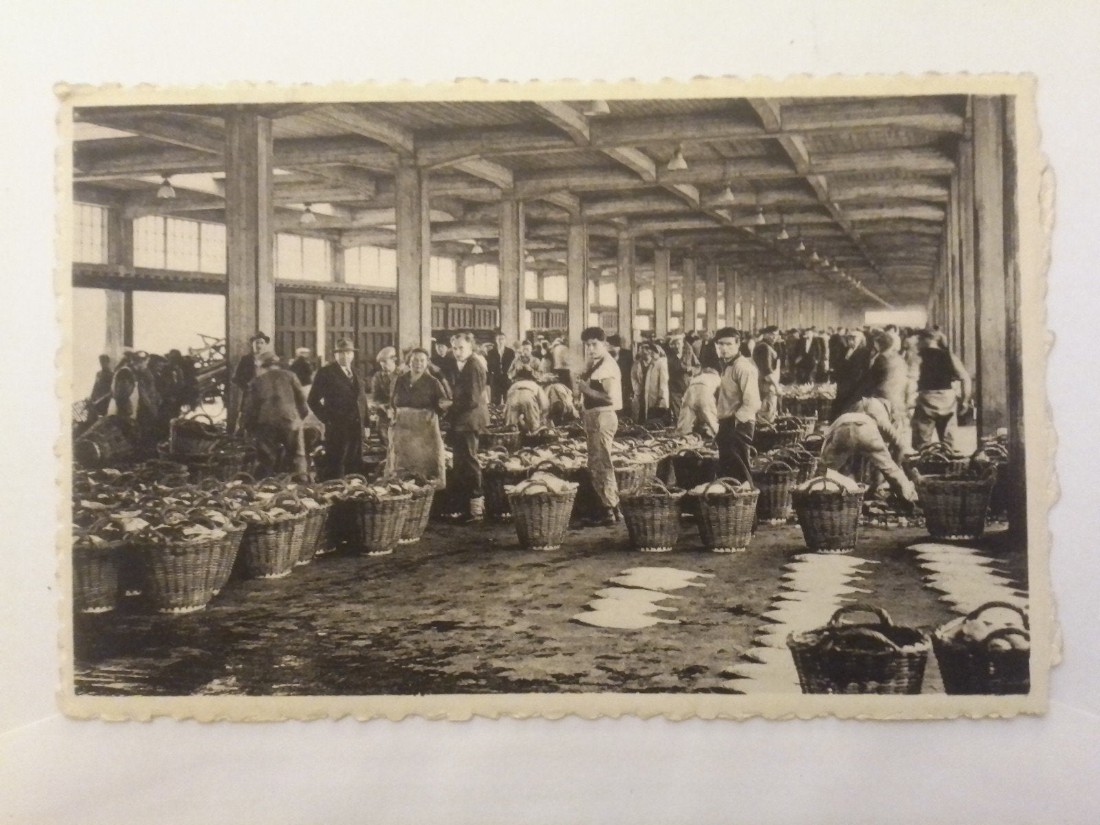OSTENDE LA MINQUE  (pêche), Envoi, 1960 à 1980, Affranchie, Flandre Occidentale