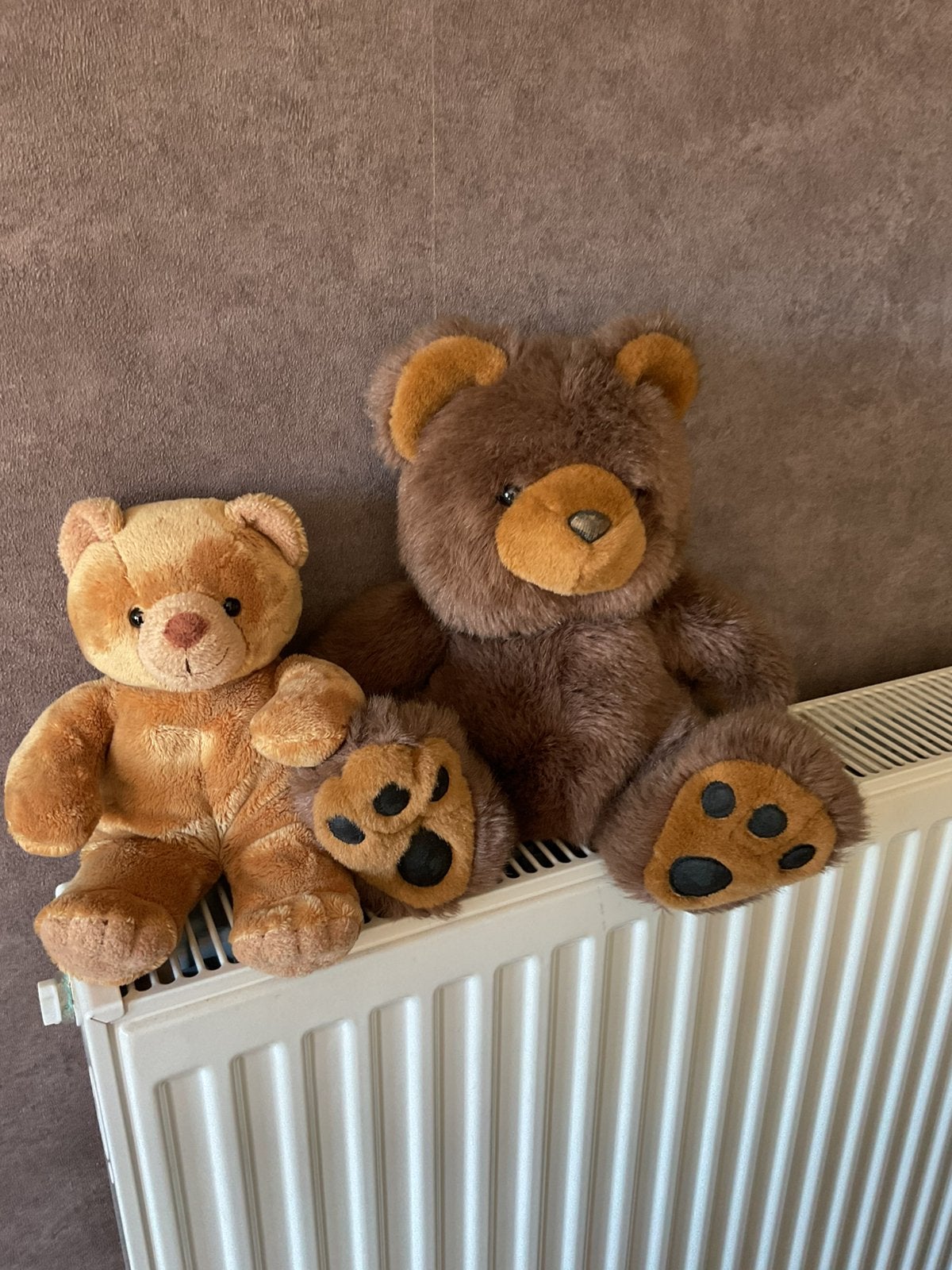 2 bruine knuffelberen, Ophalen of Verzenden, Zo goed als nieuw