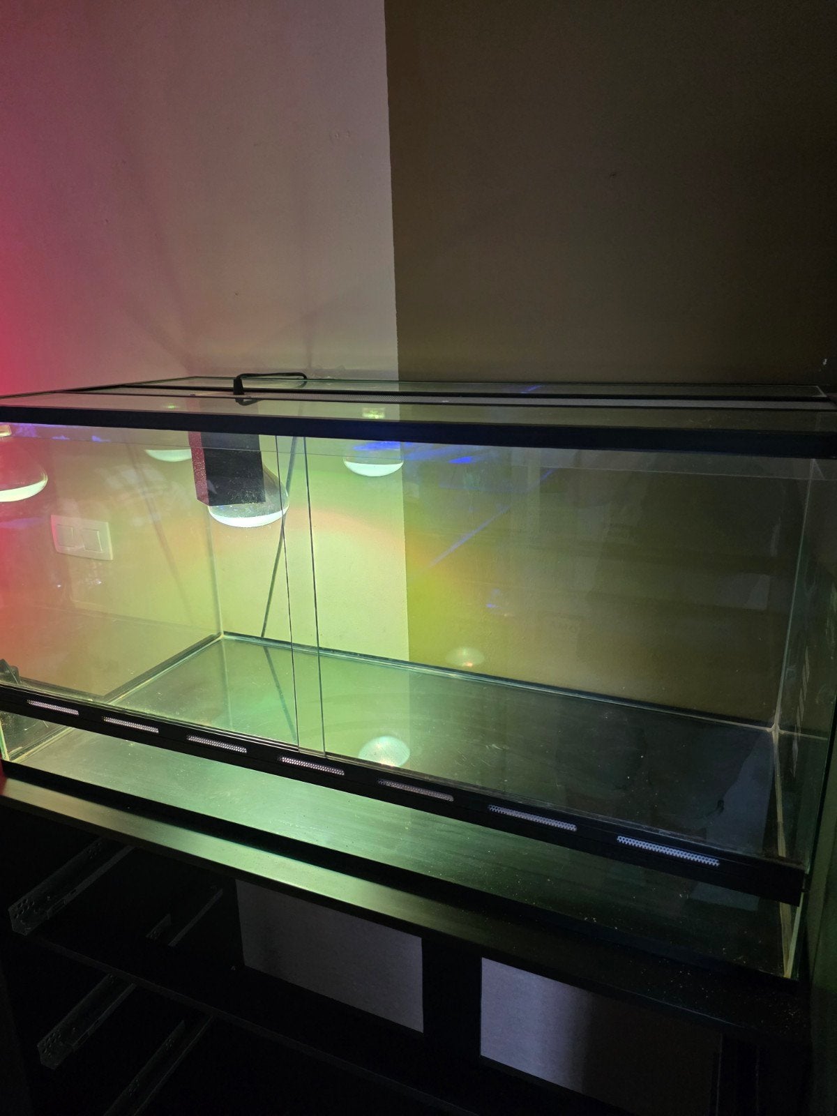 Terarium reptielen, Enlèvement