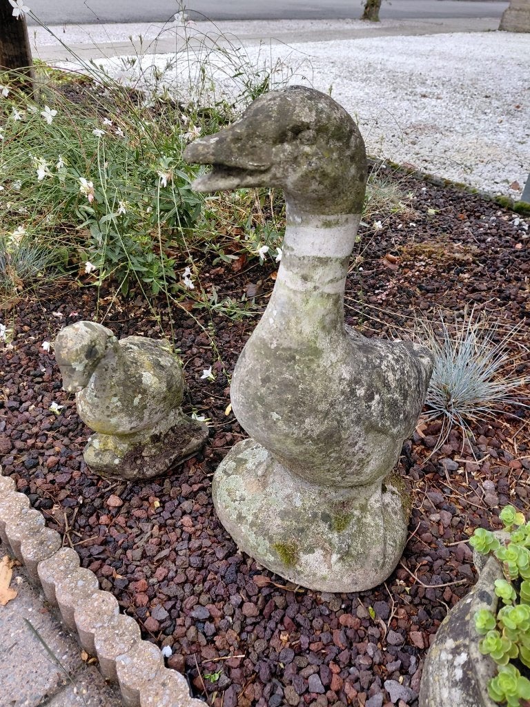 tuinbeelden (2 eenden), Tuin en Terras, Tuinbeelden, Ophalen