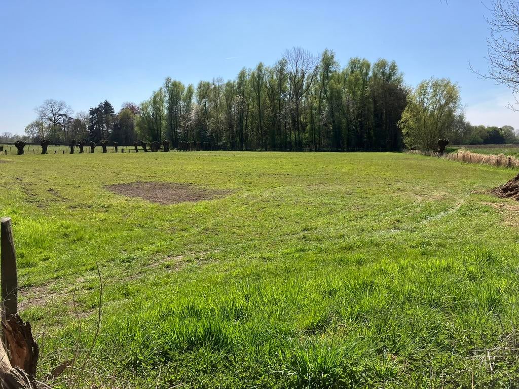 Grond/weide, 1500 m² ou plus