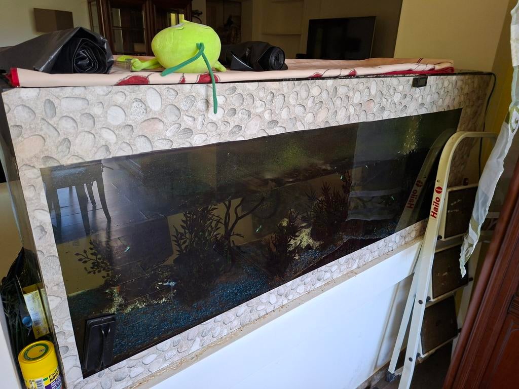 Aquarium 300 litres avec Guppy et accessoires, Enlèvement