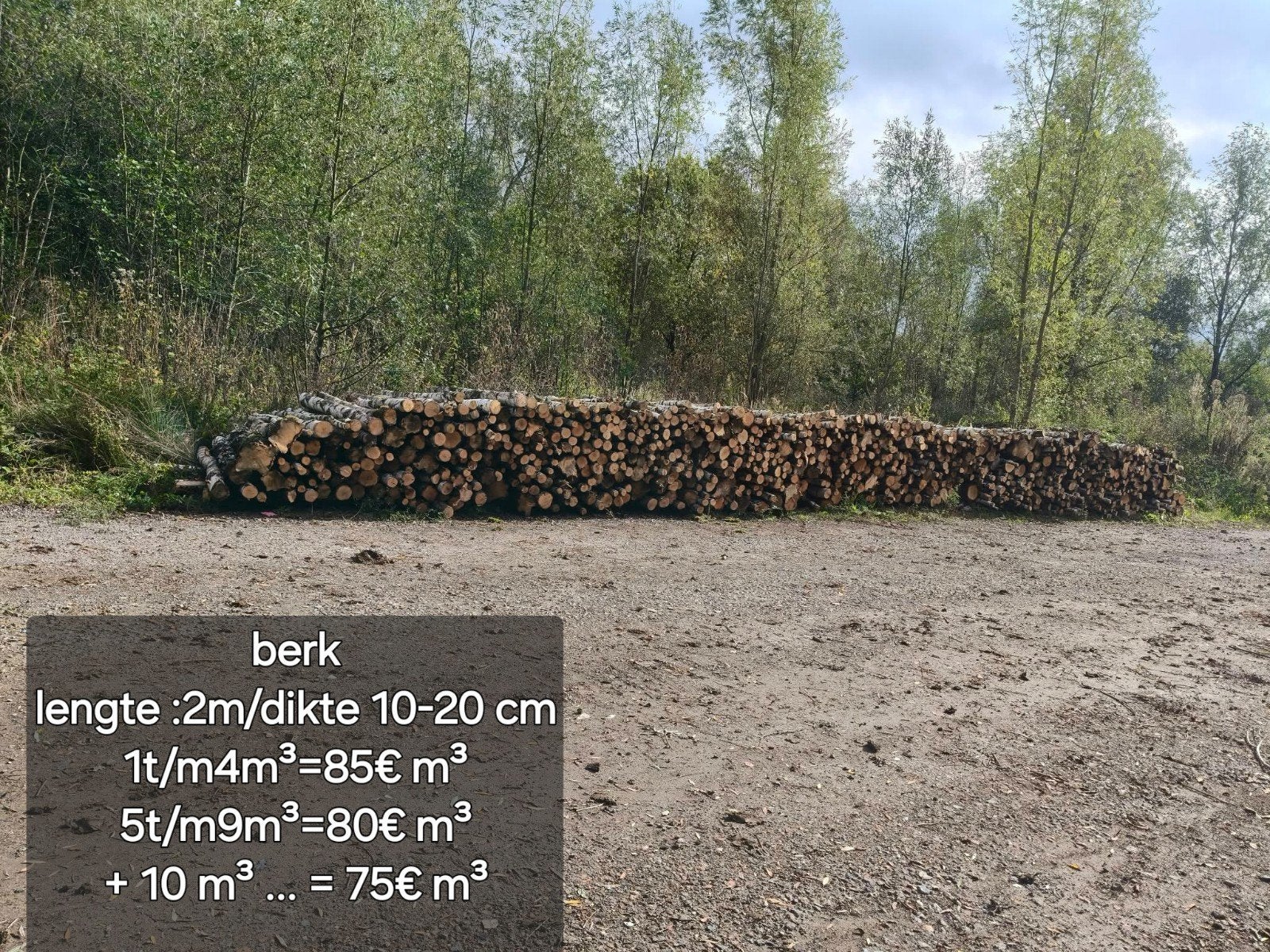 brandhout berk 2,0m 10-20cm dikte, 6 m³ of meer, Ophalen, Berkenhout, Stammen