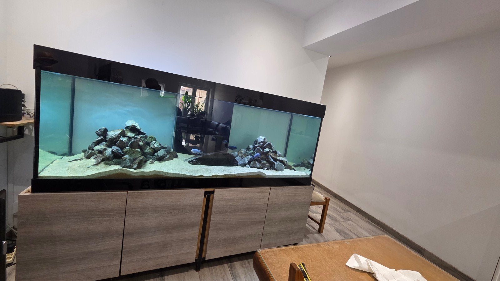 aquarium complet, Enlèvement, Utilisé, Aquarium d'eau douce rempli, Autres marques