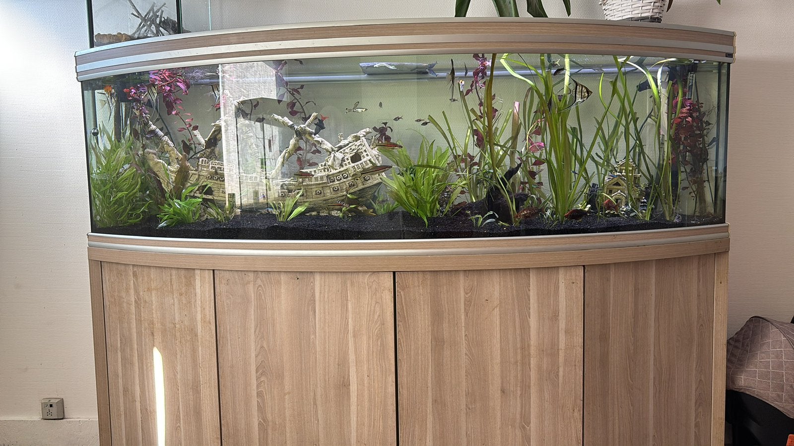 Aquarium, Ophalen, Zo goed als nieuw