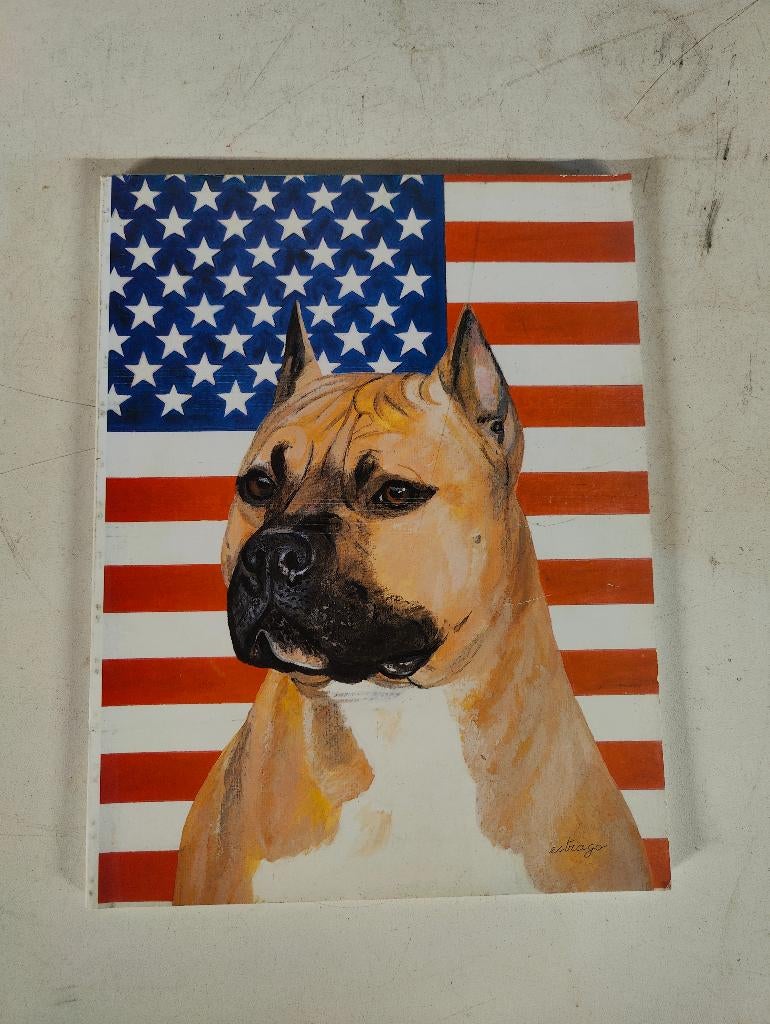 Glory of the American Staffordshire terriër, Boeken, Dieren en Huisdieren, Ophalen of Verzenden, Zo goed als nieuw