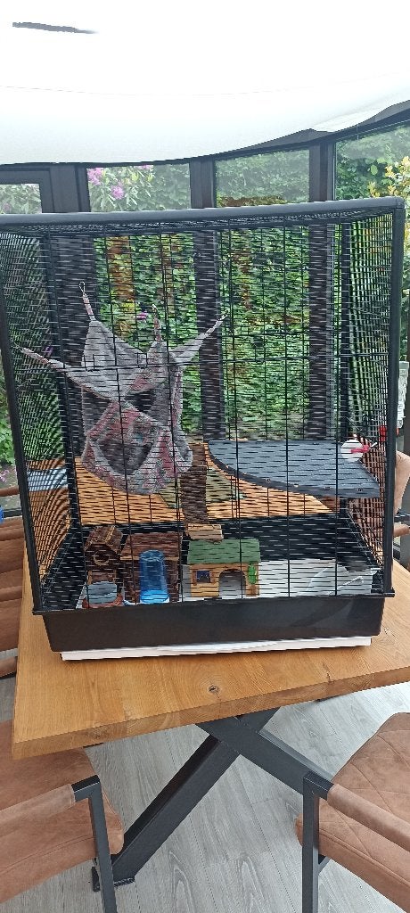 Kooi voor knaagdieren, Dieren en Toebehoren, Ophalen, Kooi, Gebruikt, Eekhoorn