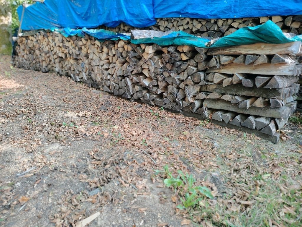 Bois de chauffage, Enlèvement, Hêtre