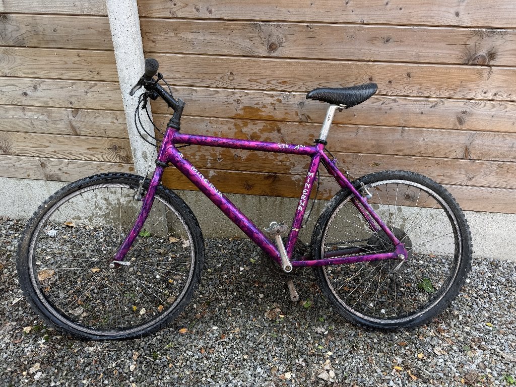 Minerva mountain bike (te herstellen), Vélos & Vélomoteurs, Enlèvement, Utilisé, Hommes, VTT rigide