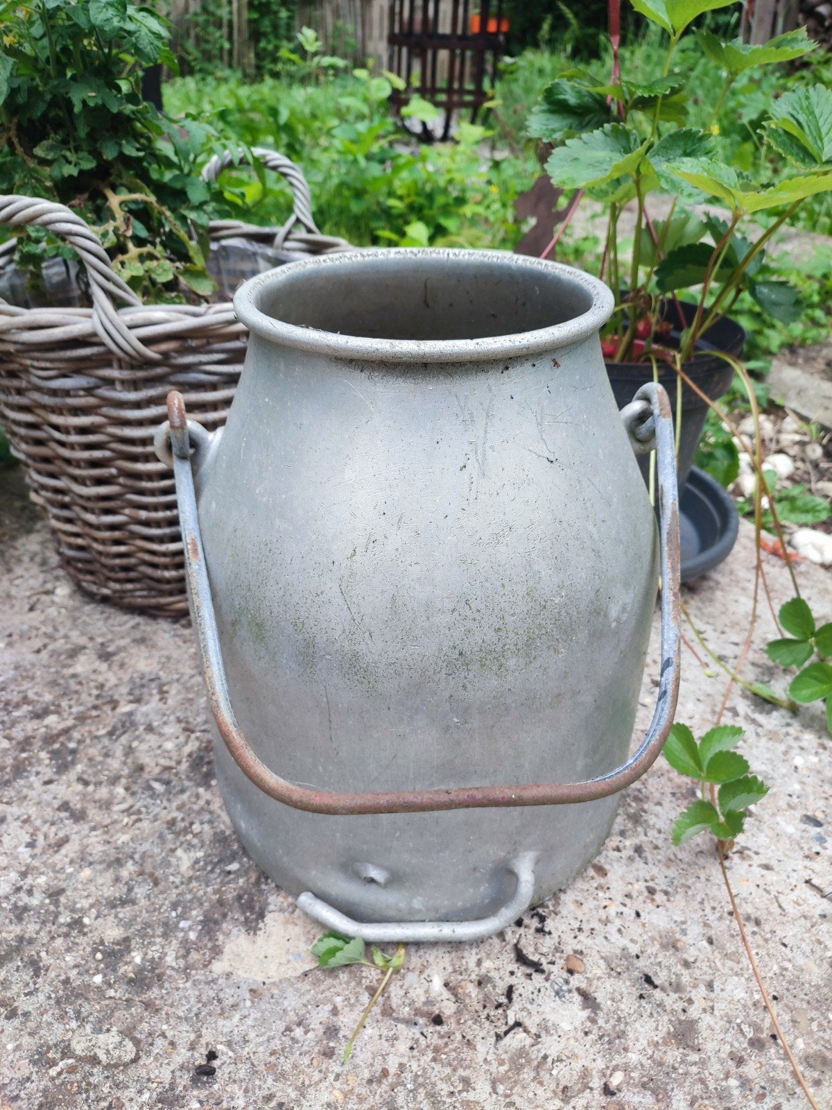 Ancienne cruche, Enlèvement
