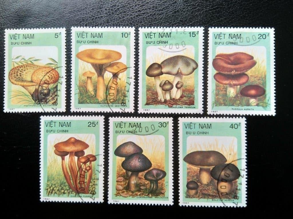 Champignons, Vietnam, Envoi, Affranchi, Animal et Nature