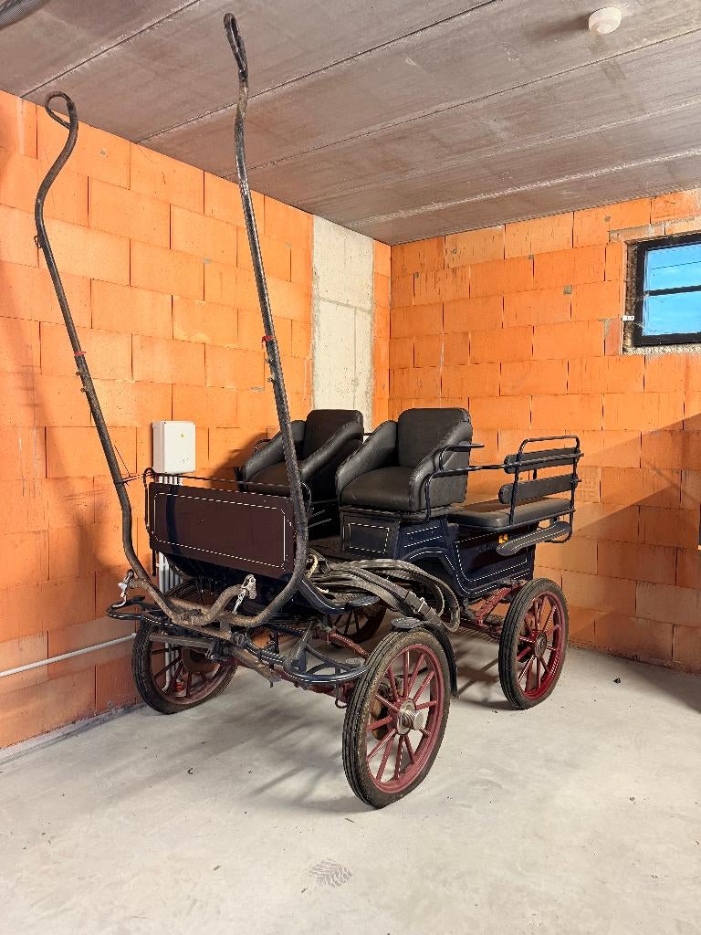 Paardenkoets, Dieren en Toebehoren, Paard