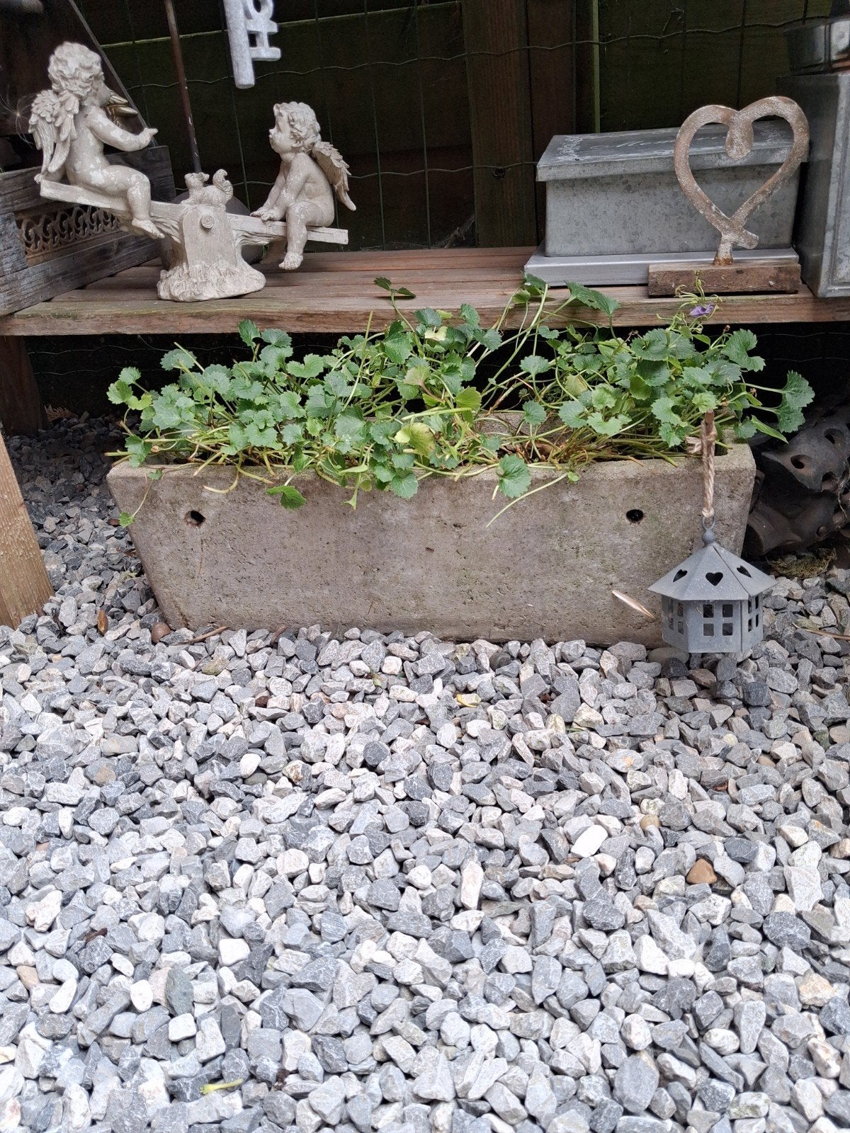 4 grands pots de fleurs en béton + campanules, Jardin & Terrasse, Bacs à fleurs & Jardinières, Enlèvement, Béton