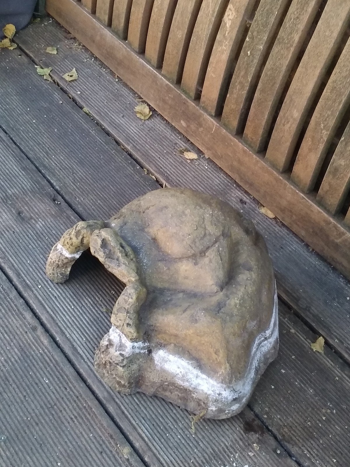 Exo terra grot XL, Dieren en Toebehoren, Reptielen en Amfibieën | Toebehoren, Ophalen, Gebruikt, Tak, Plant, Rots of Steen
