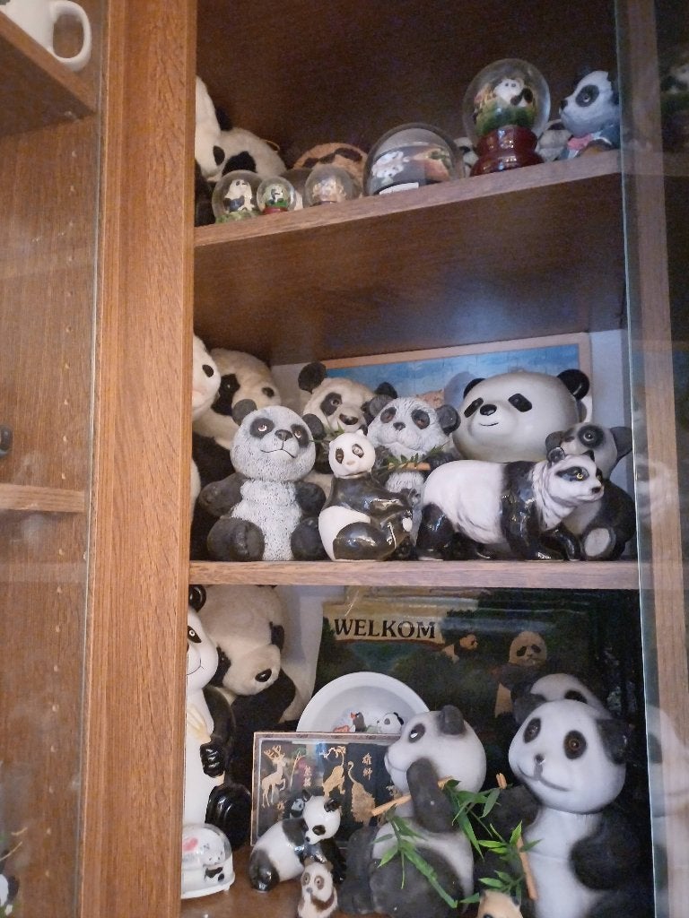 Pandabeer, Verzamelen, Ophalen, Zo goed als nieuw, Overige typen, Overige merken