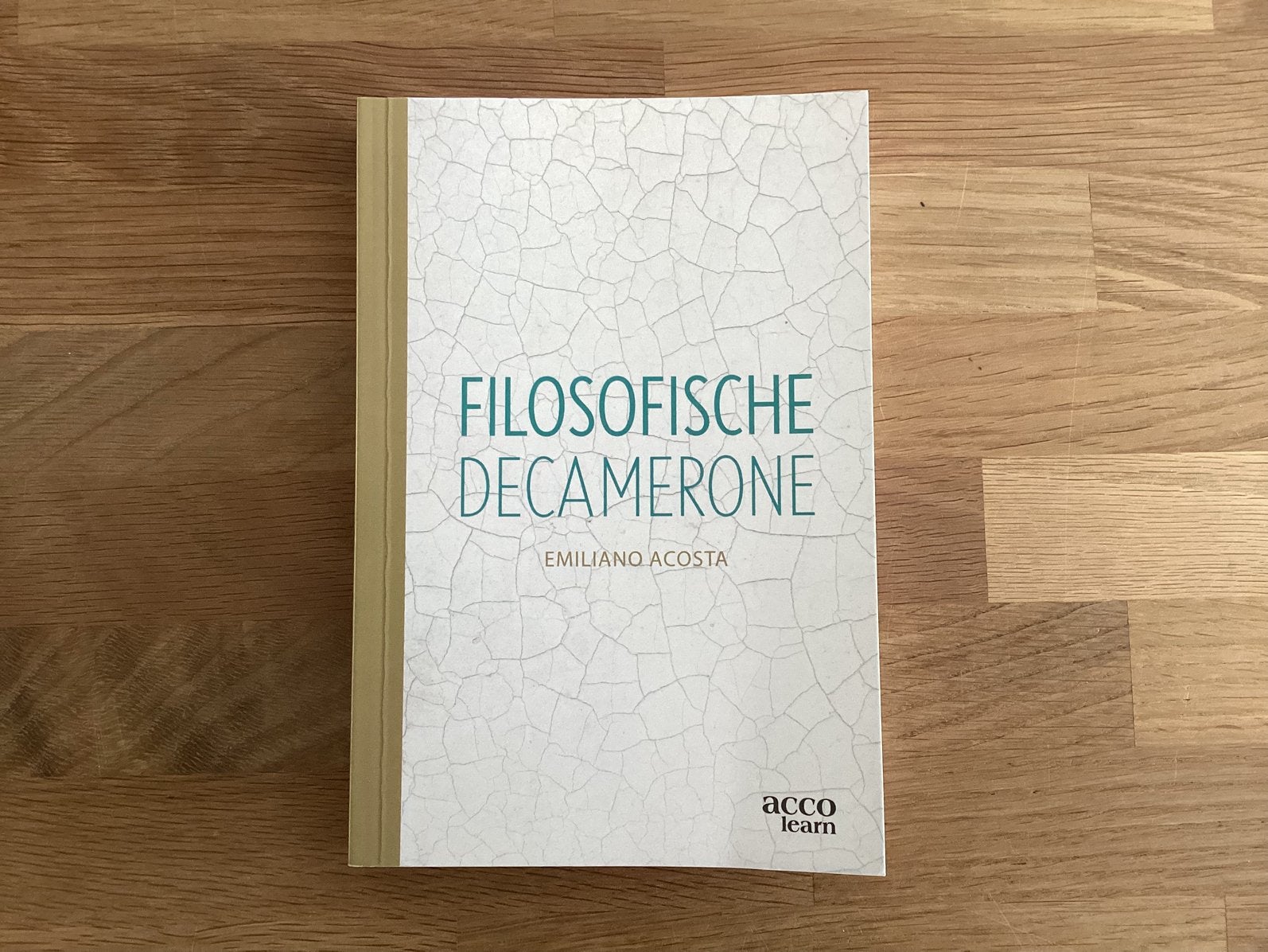 Emiliano Acosta - Filosofische decamerone, Boeken, Ophalen, Emiliano Acosta