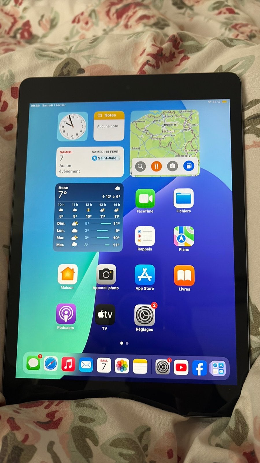 Apple iPad 10.2 256 giga, Computers en Software, Apple iPads, Zo goed als nieuw, Apple iPad, Ophalen