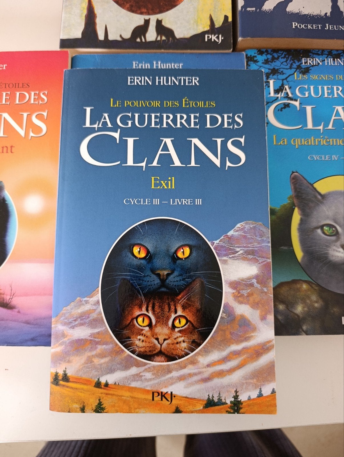 9782266228244 la guerre des clans. EXIL, Livres, Enlèvement ou Envoi