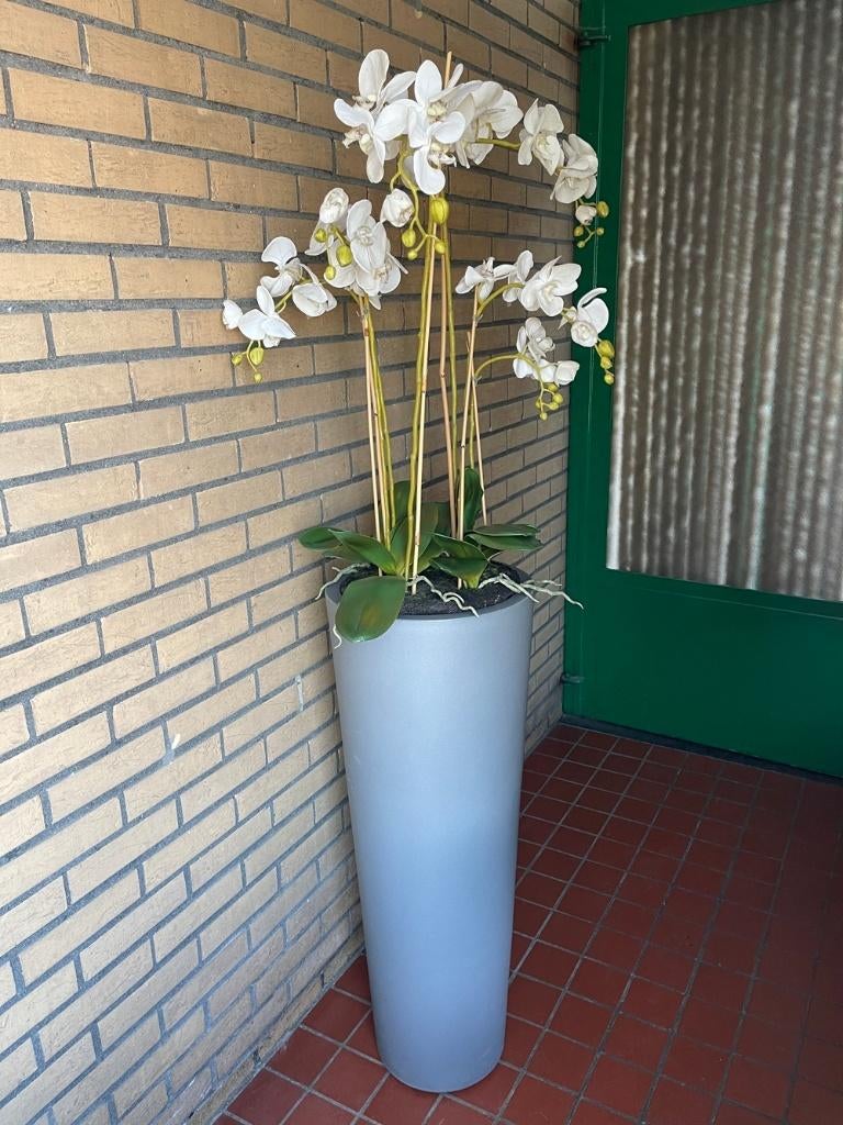Witte zijden kunstorchidee in hoge pot, Huis en Inrichting, Woonaccessoires | Kunstplanten en Kunstbloemen, Gebruikt, Kunstplant
