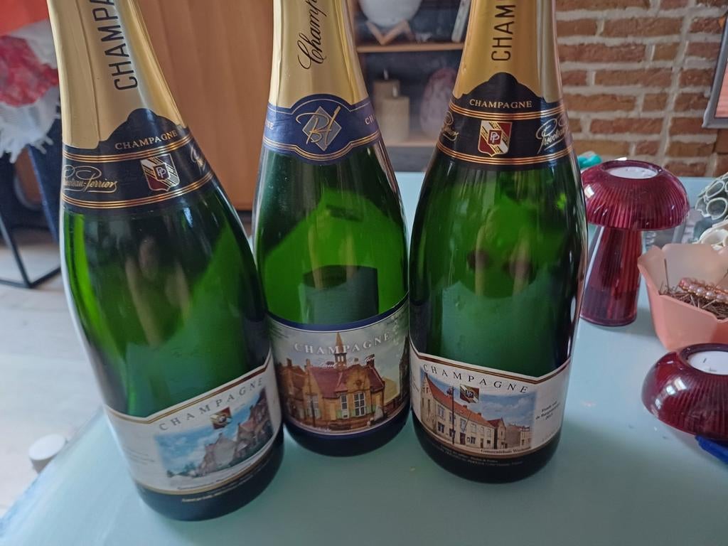Ensemble de bouteilles de champagne vides avec mairies côtiè, Enlèvement ou Envoi, Utilisé, France, Champagne