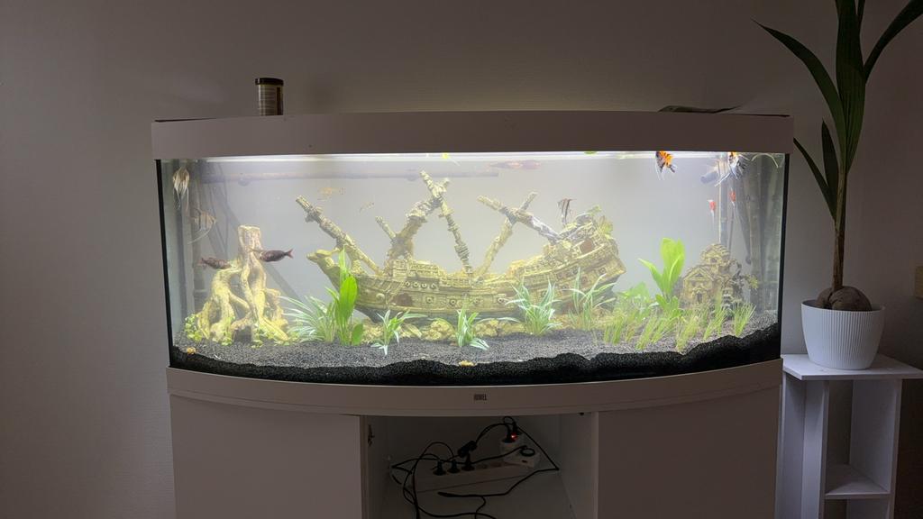 Aquarium juwel 450 wit, Dieren en Toebehoren, Vissen | Aquaria en Toebehoren, Ophalen
