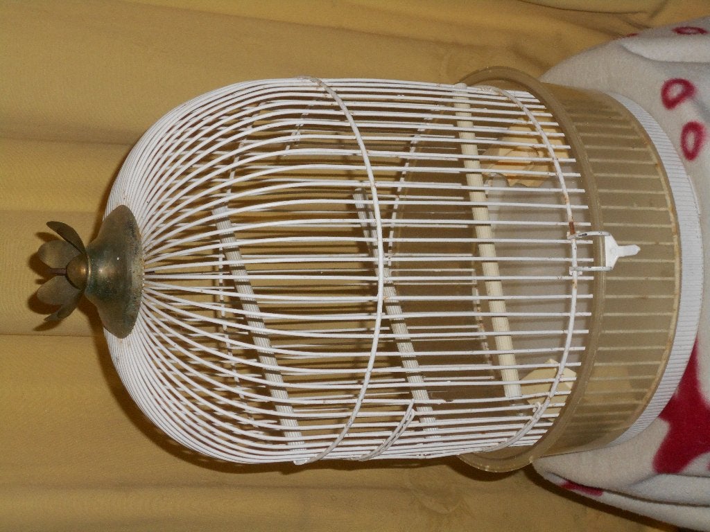 cage oiseaux a 45 euros, Enlèvement, Neuf