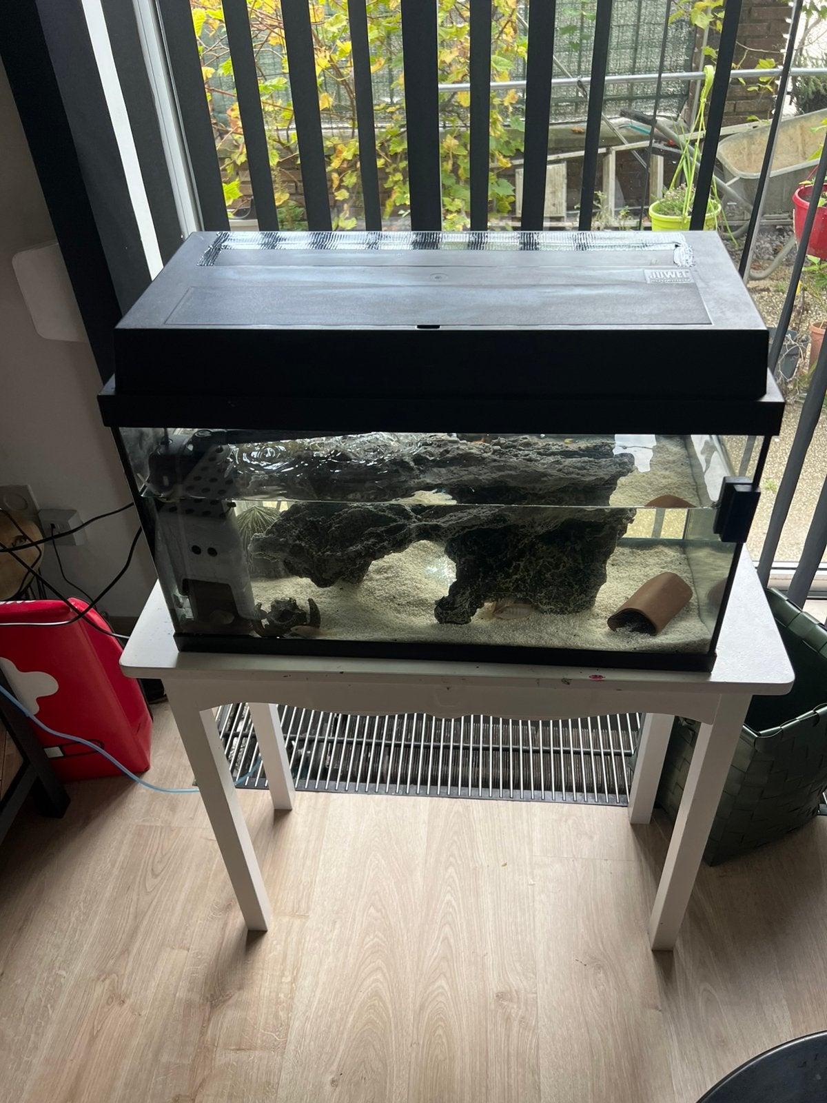 Aquarium met malawi cichliden te koop, Enlèvement, Comme neuf