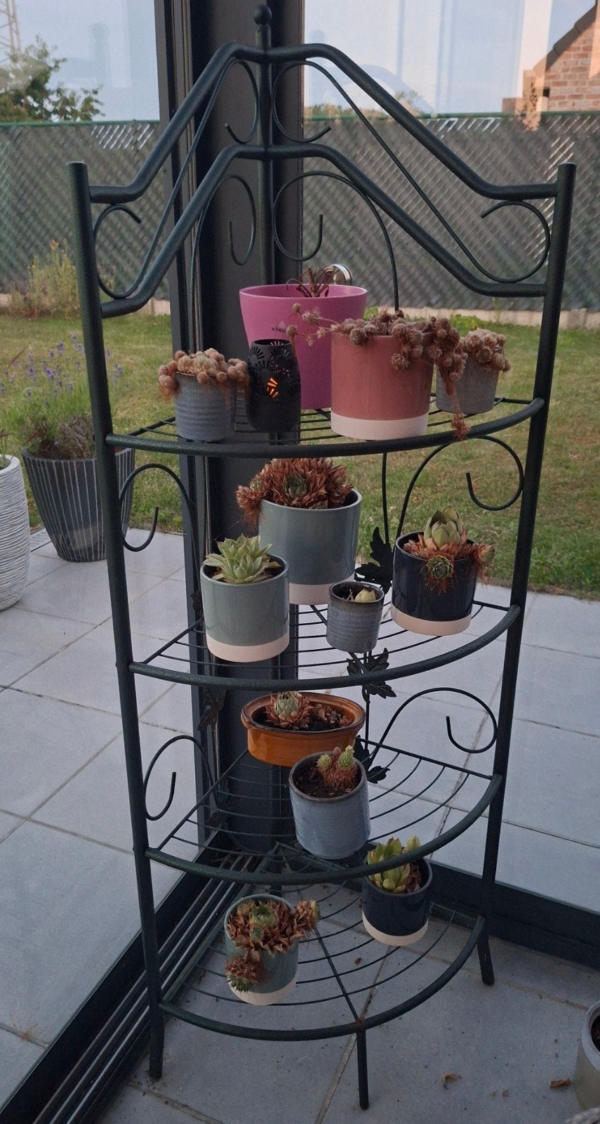 Hoekige plantenrek, Ophalen