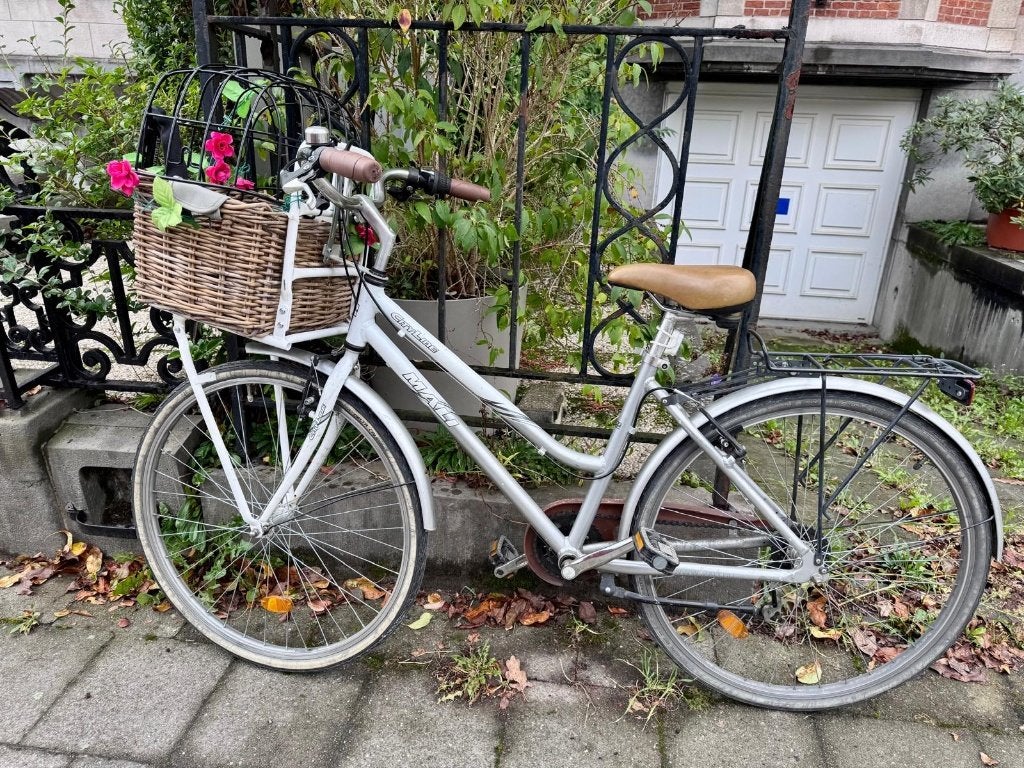 Vélo Mali de 26 po — 6 vitesses, panier et phares, Vélos & Vélomoteurs, Vitesses, Frein sur jante, 26 pouces ou plus, Enlèvement