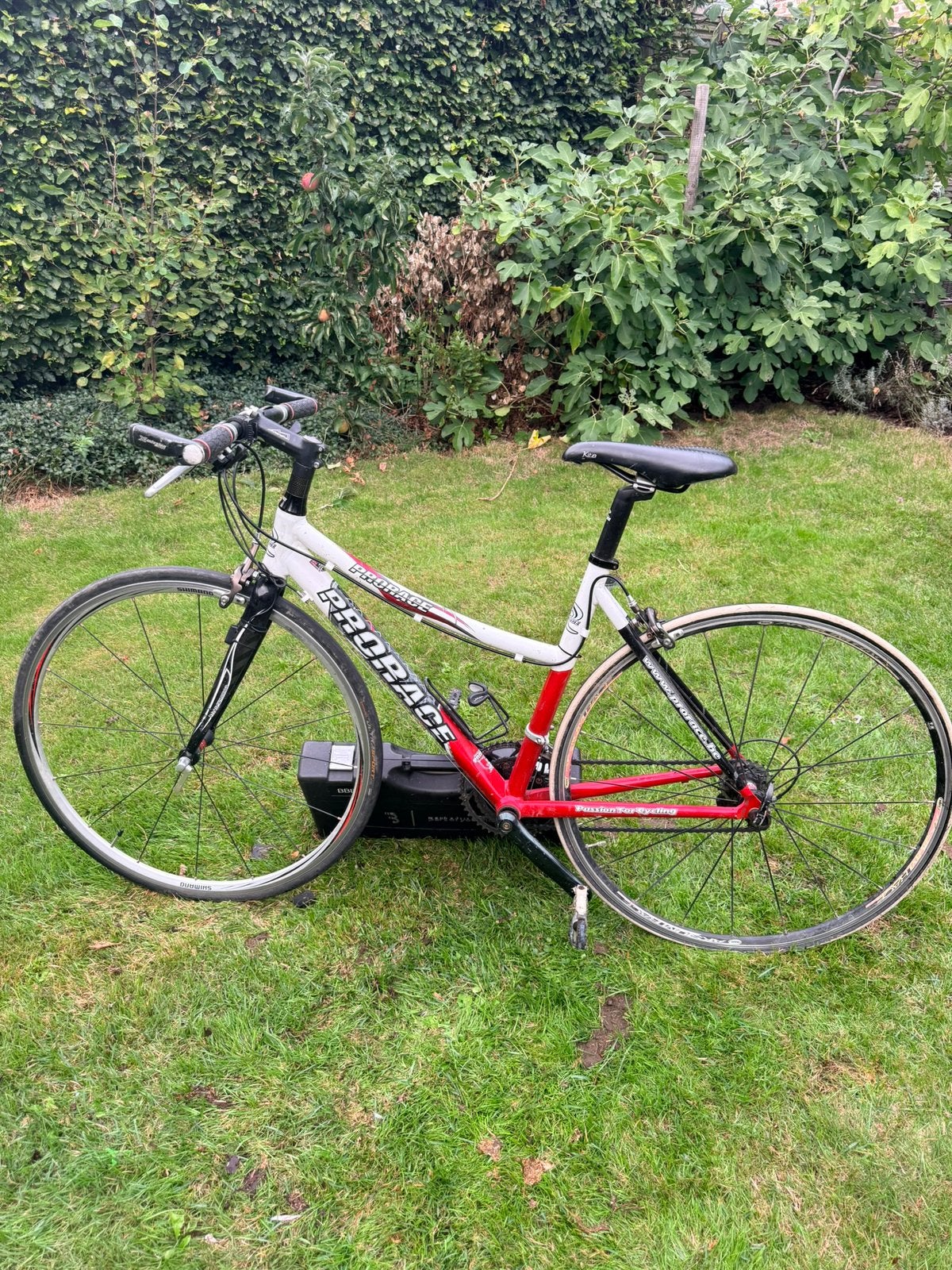 Prorace fiets, wit-rood, sportief model, Vélos & Vélomoteurs, Enlèvement, Utilisé, Aluminium