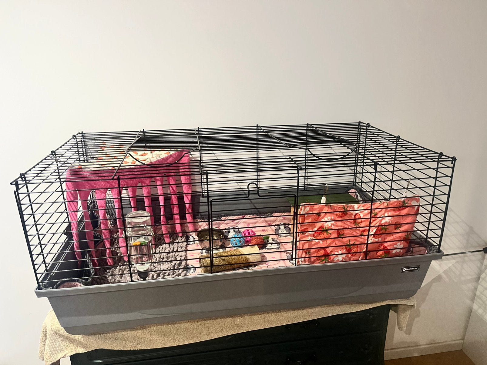 Cavia’s, Dieren en Toebehoren, Ophalen, Zo goed als nieuw, Kooi, Cavia