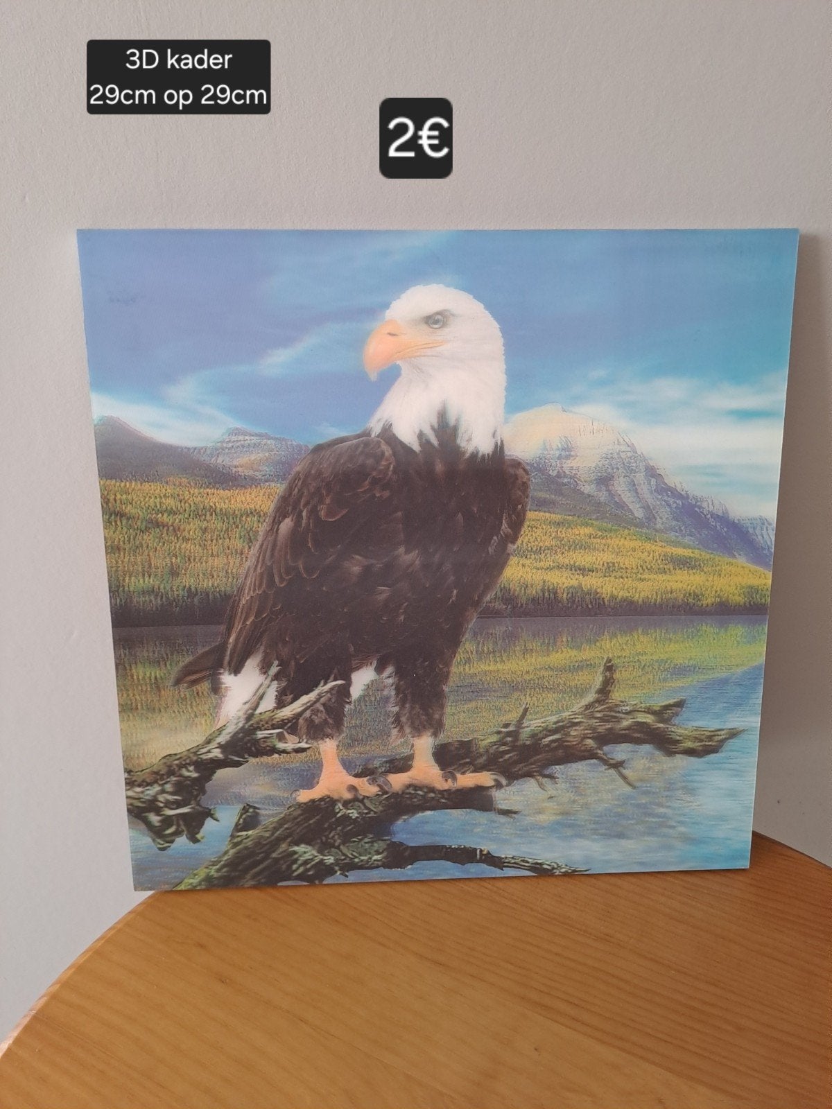 kader Arend 3D, Enlèvement