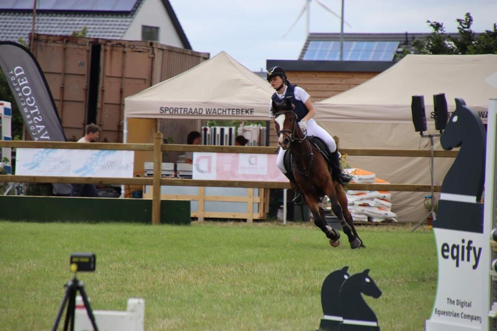 ️ À VENDRE : SURMATELAS POLYVALENT « MARCOUX » ️, Hongre, Poney D (1.37 m à 1.48m), Vermifugé, 11 ans ou plus