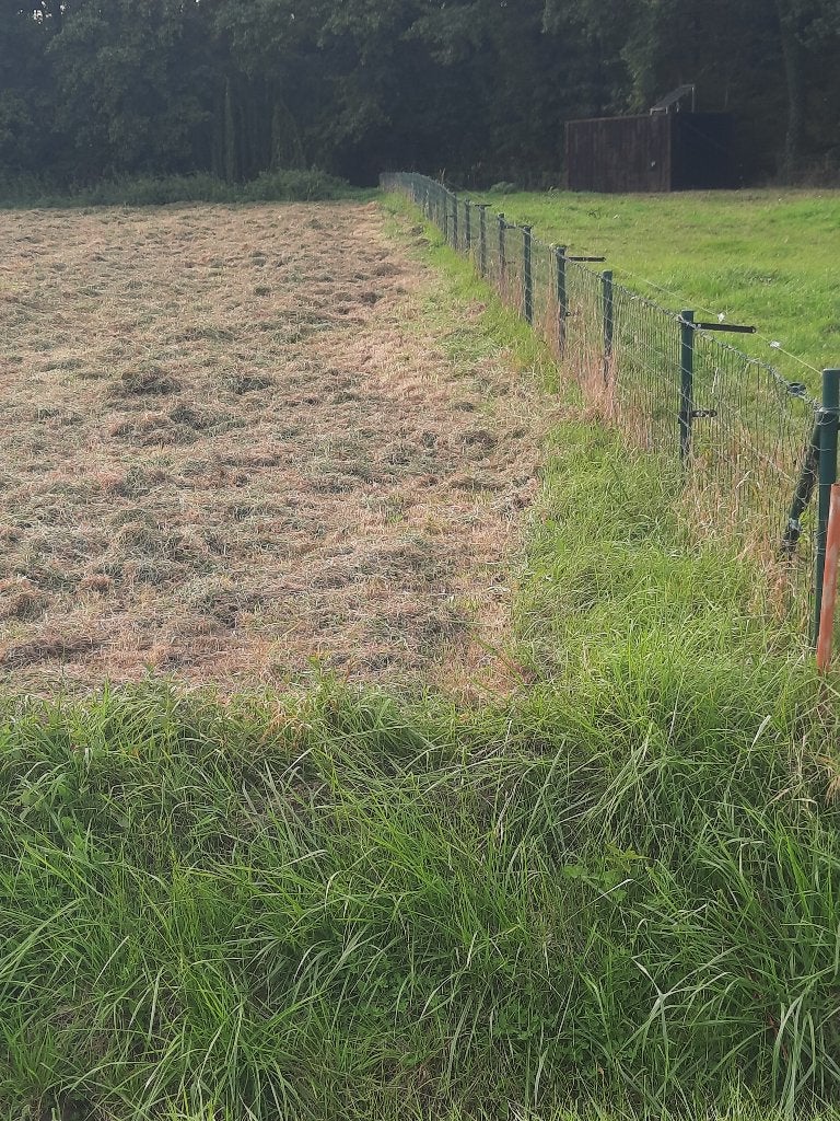 TE koop weide  (zonder makelaar), Pâturage, 2 ou 3 chevaux ou poneys