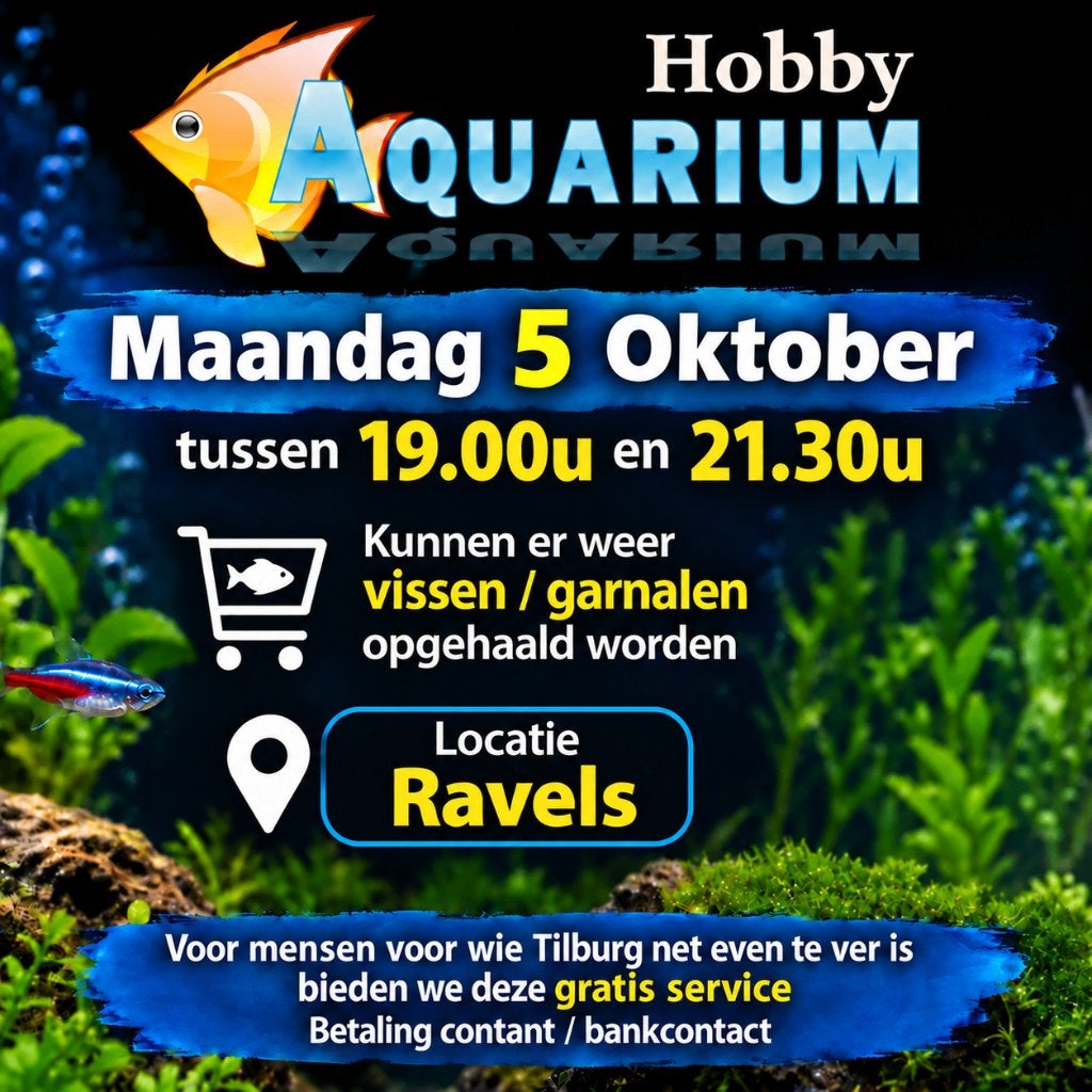 Ma 5 okt vissen/garnalen overzicht bestel/ophalen Ravels, Zoetwatervis
