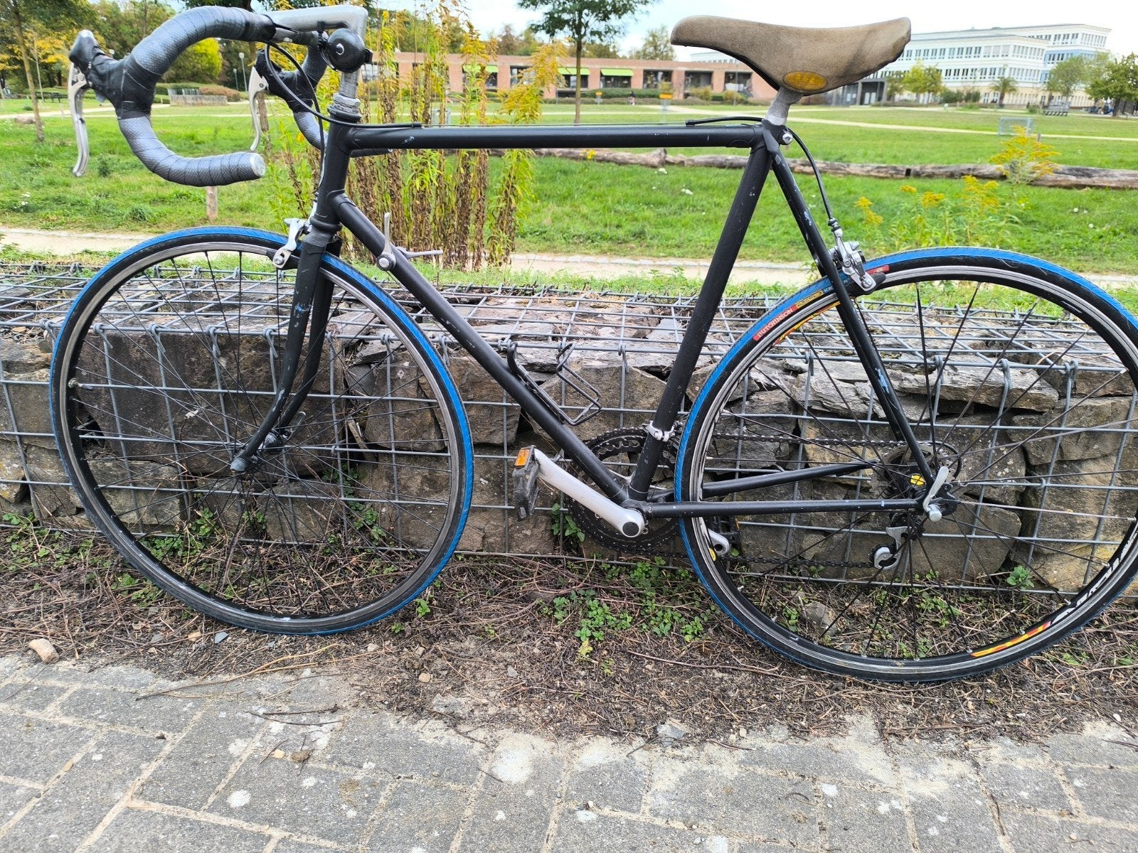 Gazelle Koersfiets perfect staat, Fietsen en Brommers, Ophalen, Gebruikt, Velgrem, 49 tot 53 cm