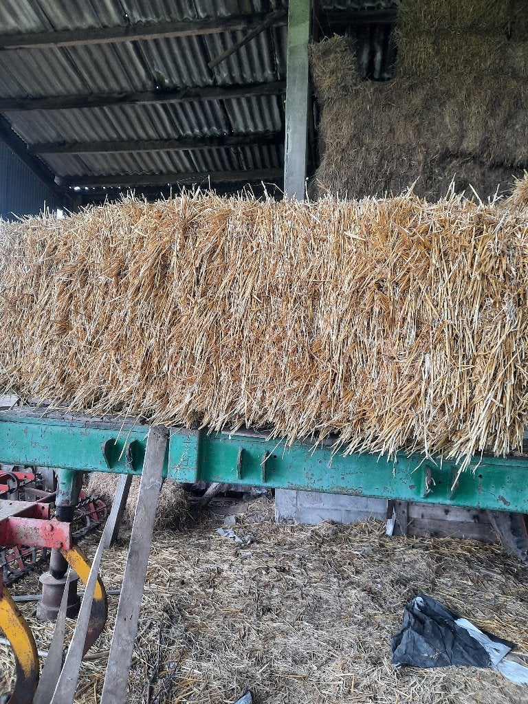 Grote pakken stroo te koop, Articles professionnels, Agriculture | Aliments pour bétail, Enlèvement