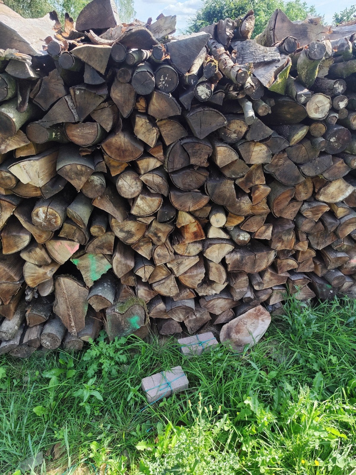Bois de chauffage sec, Jardin & Terrasse, Hêtre