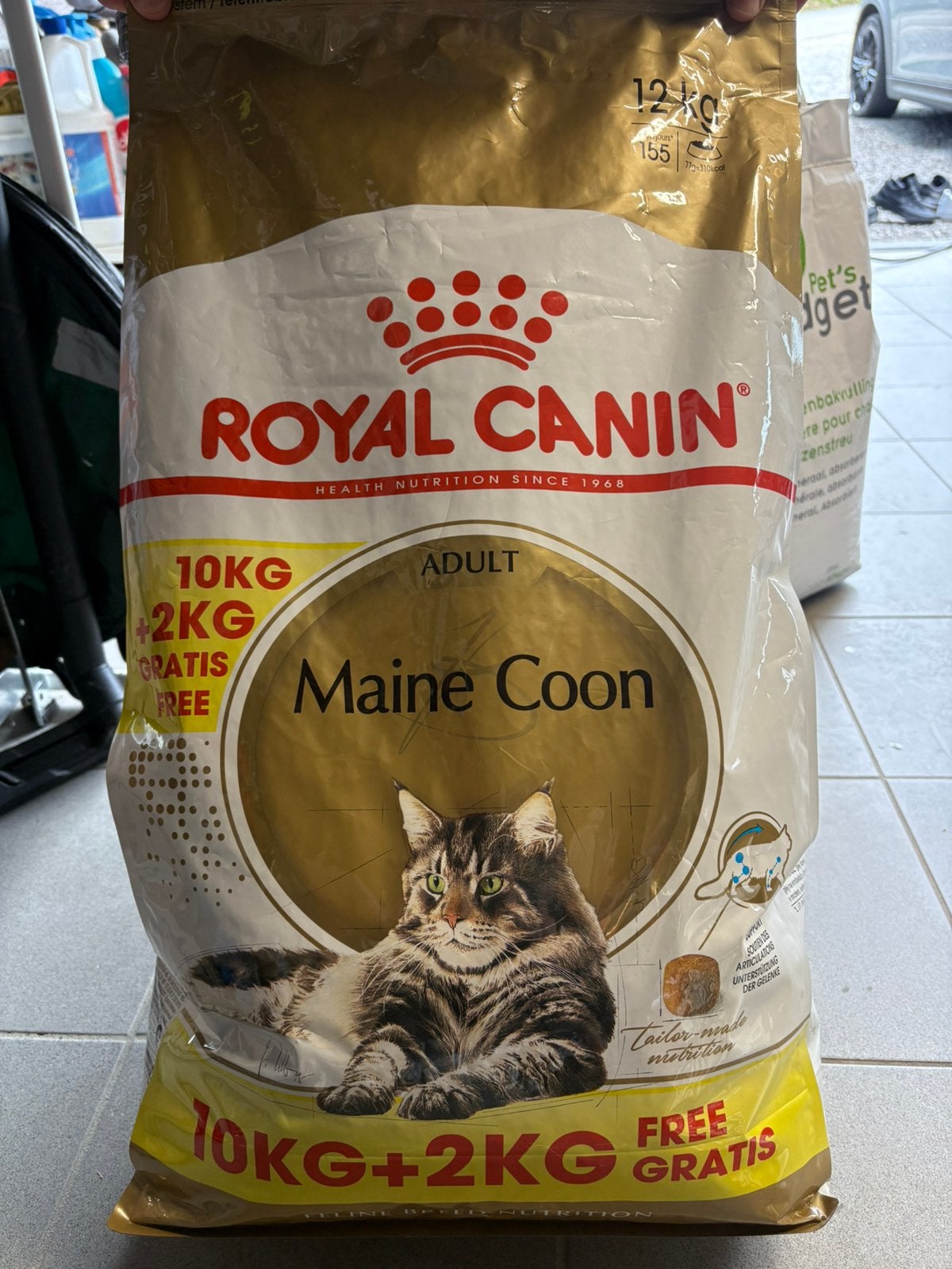 Croquettes Royal Canin Maine Coon Adult pour chat, Enlèvement, Chat