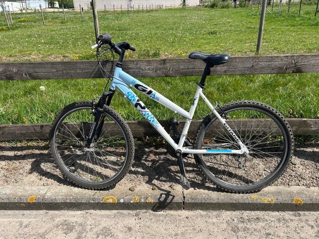 Fiets (met een beetje stof), Enlèvement