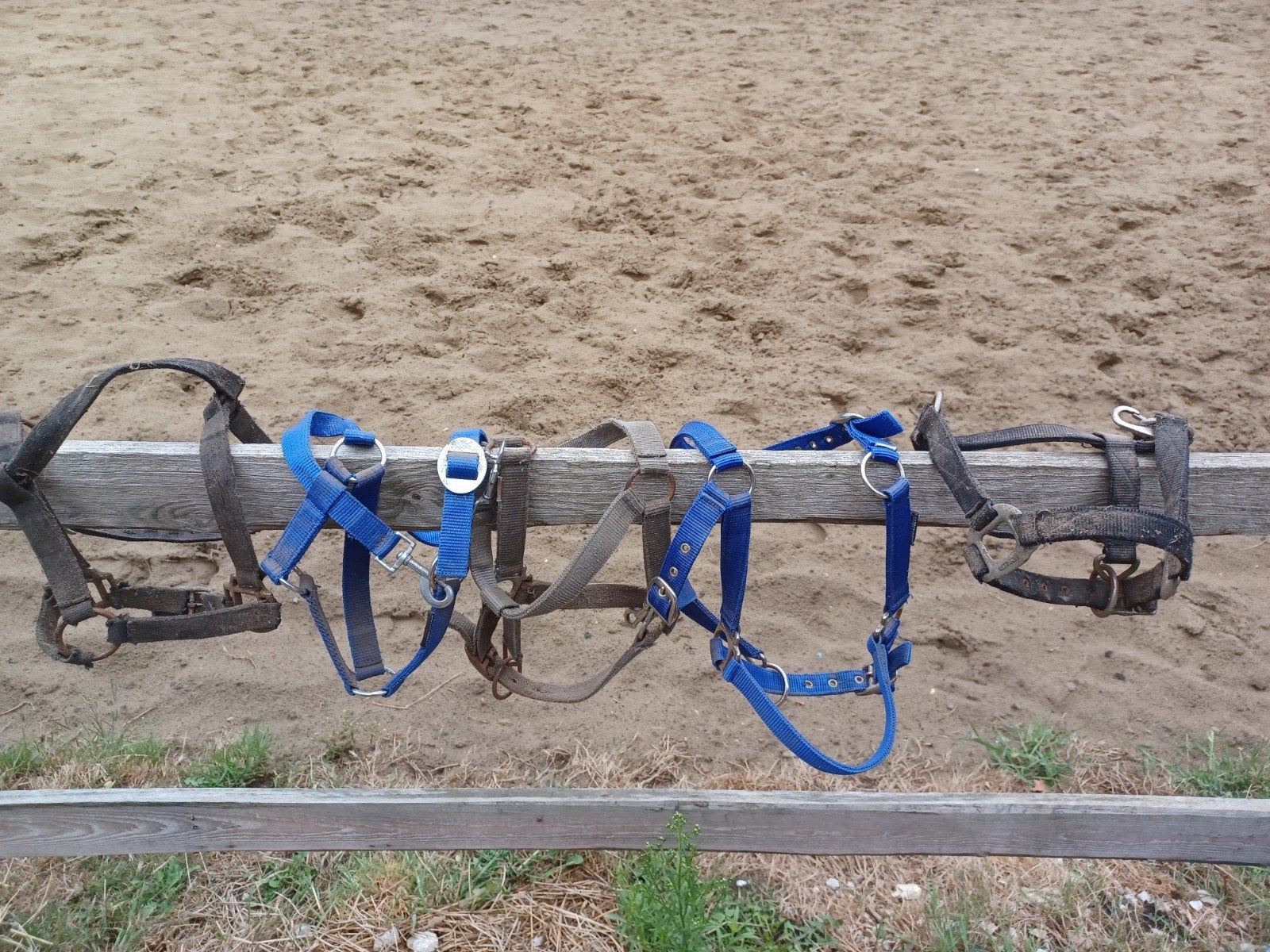 pony halster en onderleggers